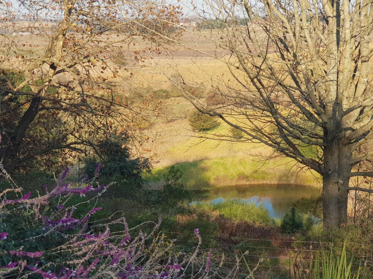 Little Fields Country House And Cottages Howick Extérieur photo