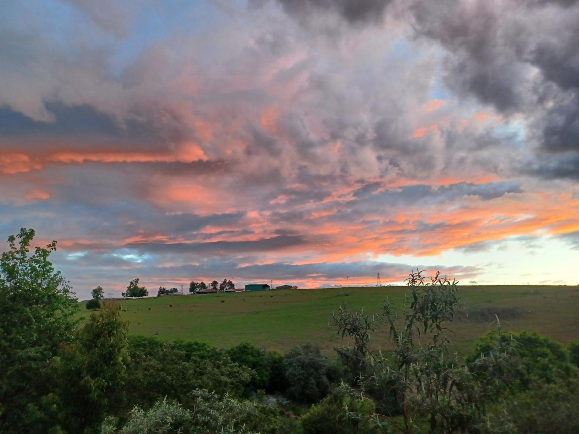 Little Fields Country House And Cottages Howick Extérieur photo