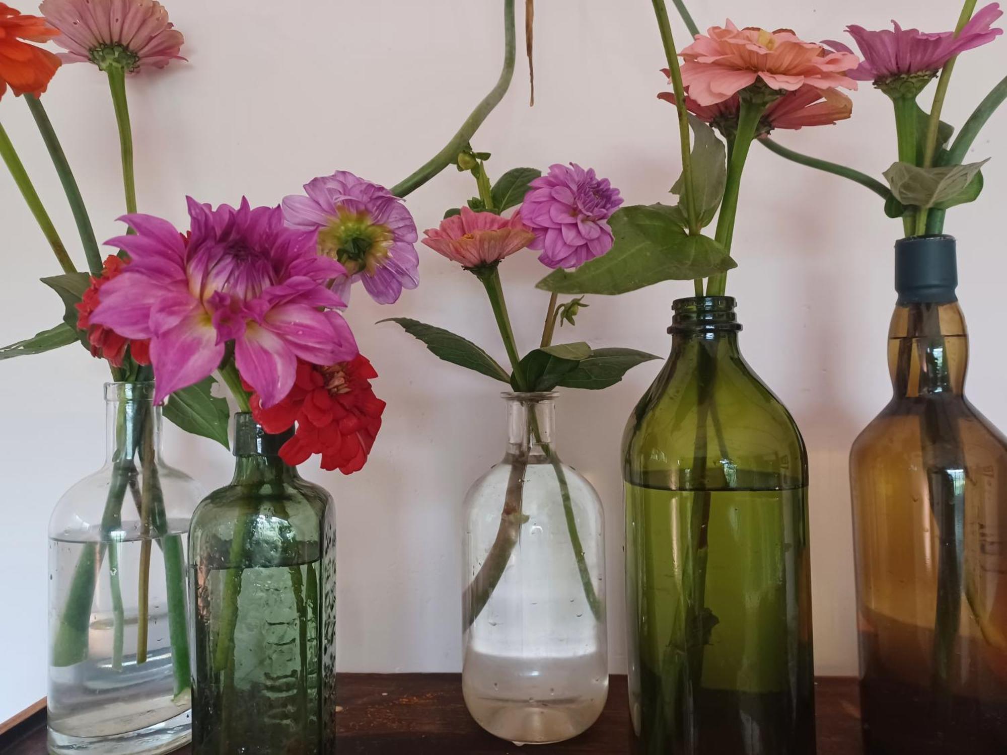 Little Fields Country House And Cottages Howick Extérieur photo